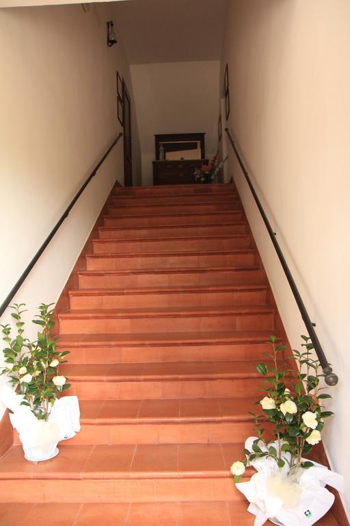 Hotel La Quiete อัสซิซี ภายนอก รูปภาพ
